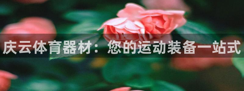 极悦娱乐股东结构：庆云体育器材：您的运动装备一站式