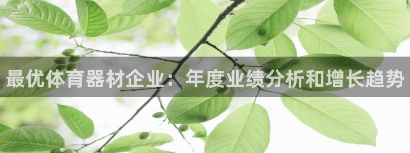 极悦平台是干什么的啊：最优体育器材企业：年度业绩分析和增长趋