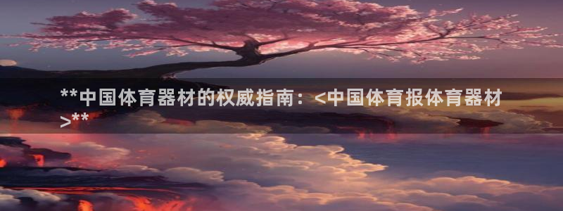 极悦平台客服团队：**中国体育器材的权威指南：<中国