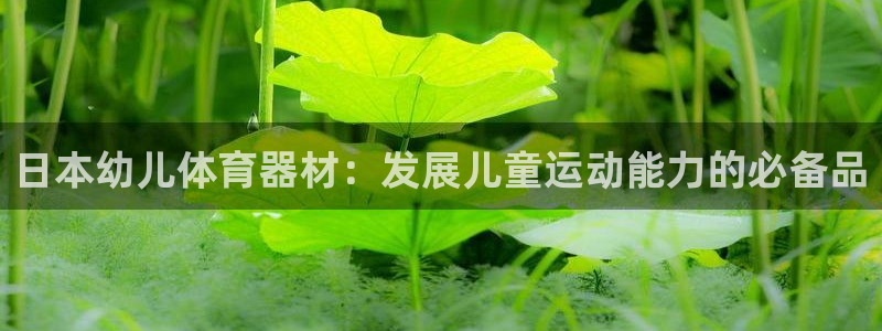 极悦平台官网登录网址：日本幼儿体育器材：发展儿童运动能力的必