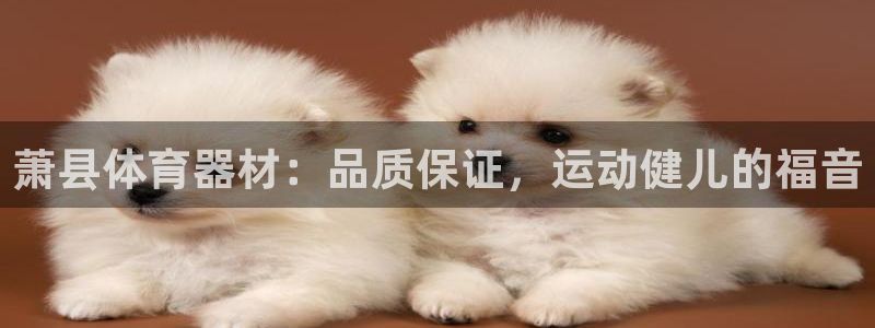 极悦娱乐挂机赚钱是真的吗安全吗：萧县体育器材：品质保证，运动
