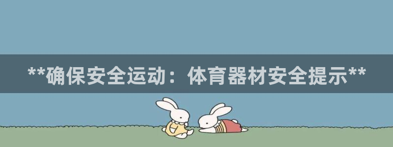 极悦平台平台注册方法与步骤视频：**确保安全运动：体育器材安