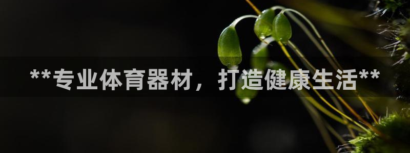 极悦平台官网入口登录：**专业体育器材，打造健康生活