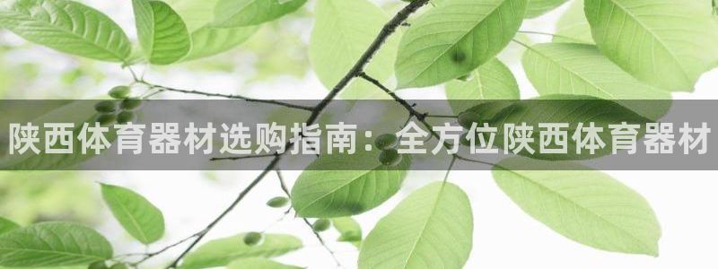 极悦官网注册最新版本更新内容：陕西体育器材选购指南：全方位陕