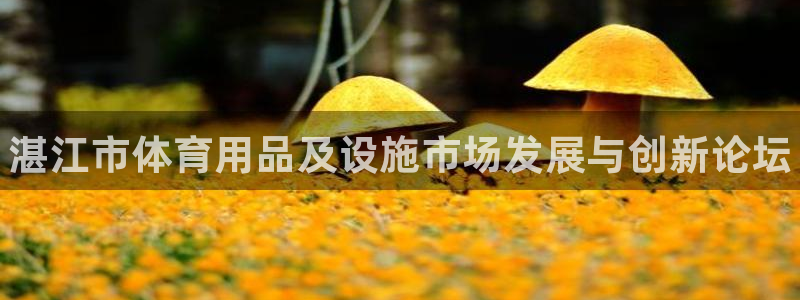 极悦娱乐app官方版本更新内容下载