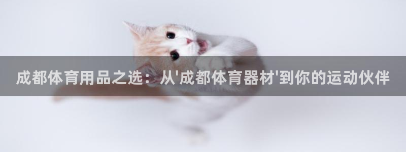 极悦平台注册登录入口在哪