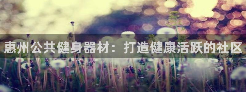 极悦平台代理怎么赚钱的：惠州公共健身器材：打造健康活跃的社区