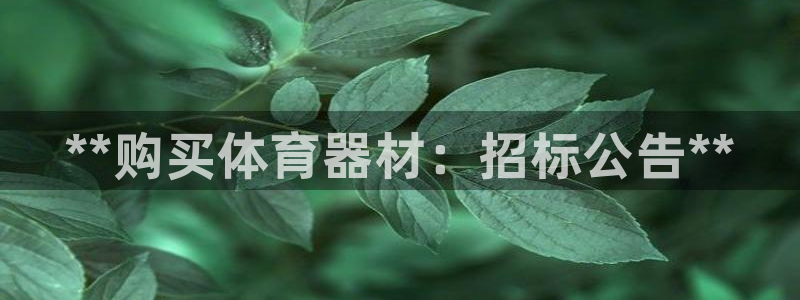 极悦是什么牌子空调：**购买体育器材：招标公告**