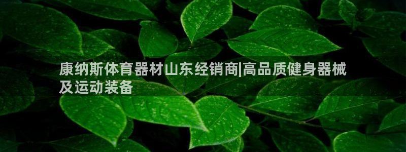 极悦娱乐会被骗吗安全吗：康纳斯体育器材山东经销商|高