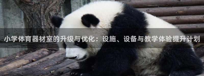 极悦平台官网登录入口网址是什么