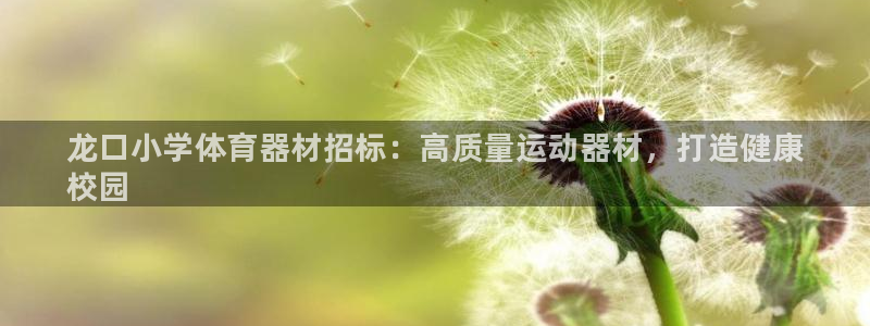 极悦娱乐百科百度贴吧：龙口小学体育器材招标：高质量运动器材，
