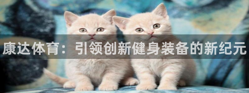 极悦平台注册的弊端及解决方法：康达体育：引领创新健身装备的新