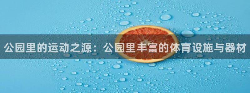 极悦平台和蓝狮平台区别：公园里的运动之源：公园里丰富的体育设