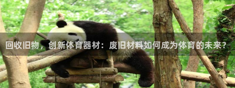 极悦娱乐官方网站下载：回收旧物，创新体育器材：废旧材料如何成