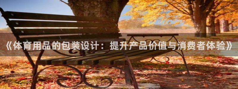 极悦官网：《体育用品的包装设计：提升产品价值与消费者