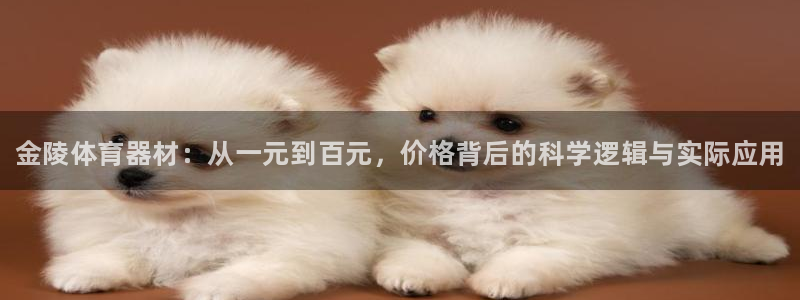 极悦平台是正规平台吗安全吗：金陵体育器材：从一元到百元，价格