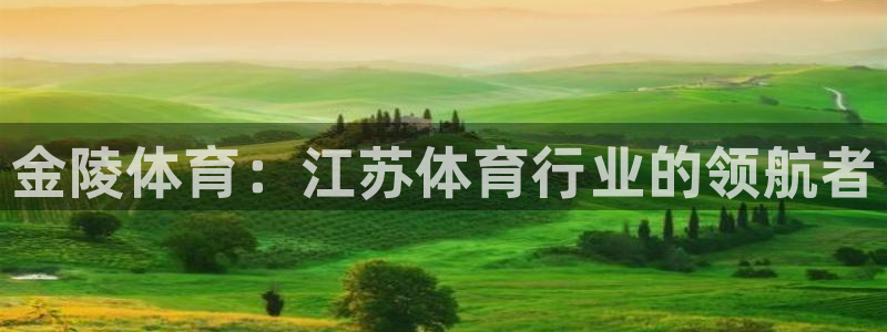 极悦平台代理怎么赚钱的：金陵体育：江苏体育行业的领航者